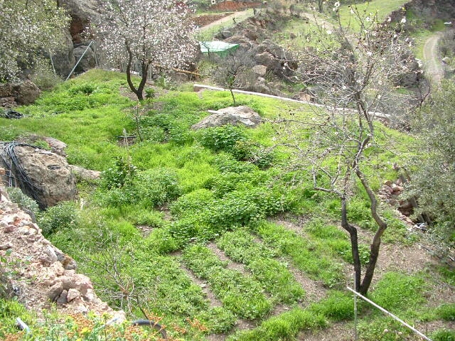 Main Photo