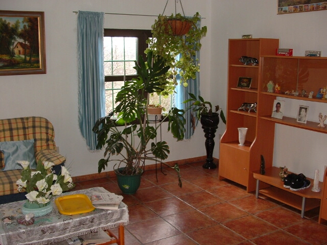 Main Photo